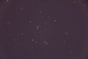 �ץ쥻�ڡʲʳش۲���ˤơ�
