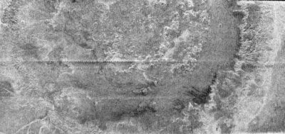 ε祯졼(NASA/JPL)