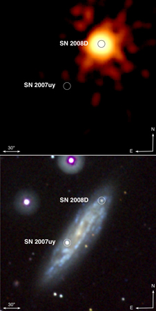 Ķȯʾ塧եȤˤXĻ([NASA/Swift Science Team/Stefan Immler])