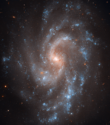 銀河NGC5584（[ NASA, ESA, A. Riess (STScI/JHU), L. Macri (Texas A&M University), and the Hubble Heritage Team (STScI/AURA)]）