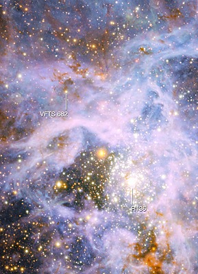 孤独な青色超巨星VFTS６８２（[ESO/M.-R. Cioni/VISTA Magellanic Cloud survey. Acknowledgment: Cambridge Astronomical Survey Unit]）