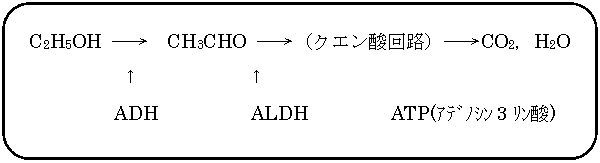 Ѵݻͳѷ:  C2H5OH  CH3CHO ʥϩˢCO2H2O
                           
          ADH          ALDH         ATP(ÎގɎ3؎ݻ)
