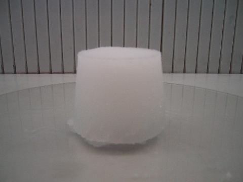 水を吸収した高分子吸収剤(プリンのように逆さにして型からだしたもの)